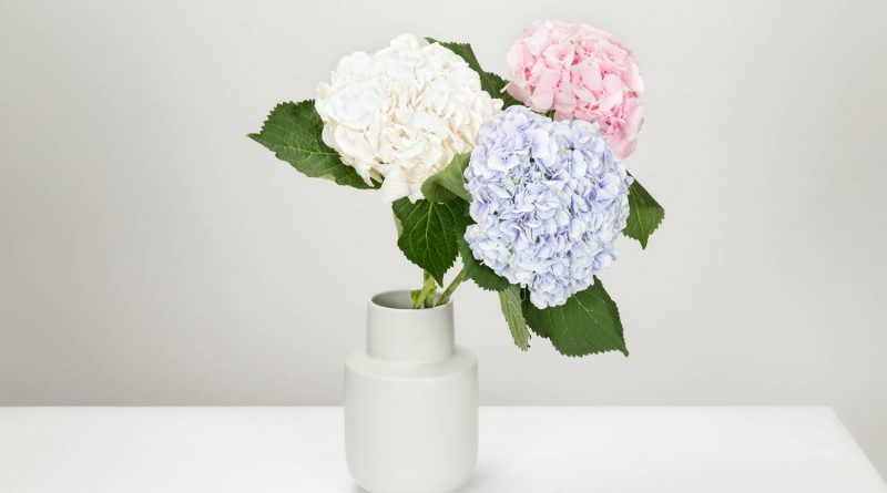 Jak wyczyścić sztuczne białe kwiaty?