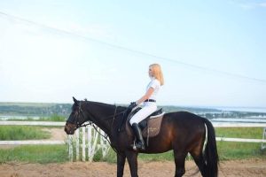 Sprzęt jeździecki — niezbędniki każdego jeźdźca